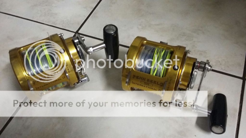 Dummies Guide to Tuna Fishing Page 6 Boat Fishing